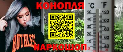 гашиш Шелехов